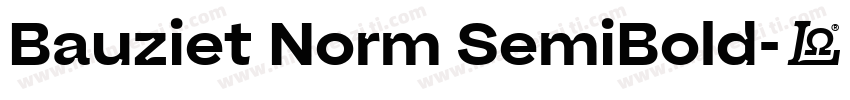 Bauziet Norm SemiBold字体转换